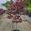 View Current Crop Photo
