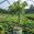 View Current Crop Photo