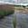 View Current Crop Photo