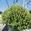 View Current Crop Photo