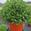 View Current Crop Photo