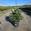 View Current Crop Photo