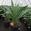 View Current Crop Photo