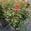View Current Crop Photo