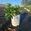View Current Crop Photo