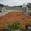 View Current Crop Photo