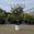 View Current Crop Photo