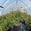 View Current Crop Photo