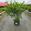 View Current Crop Photo