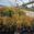 View Current Crop Photo