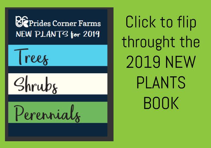 Prides Corner Farms 1 2