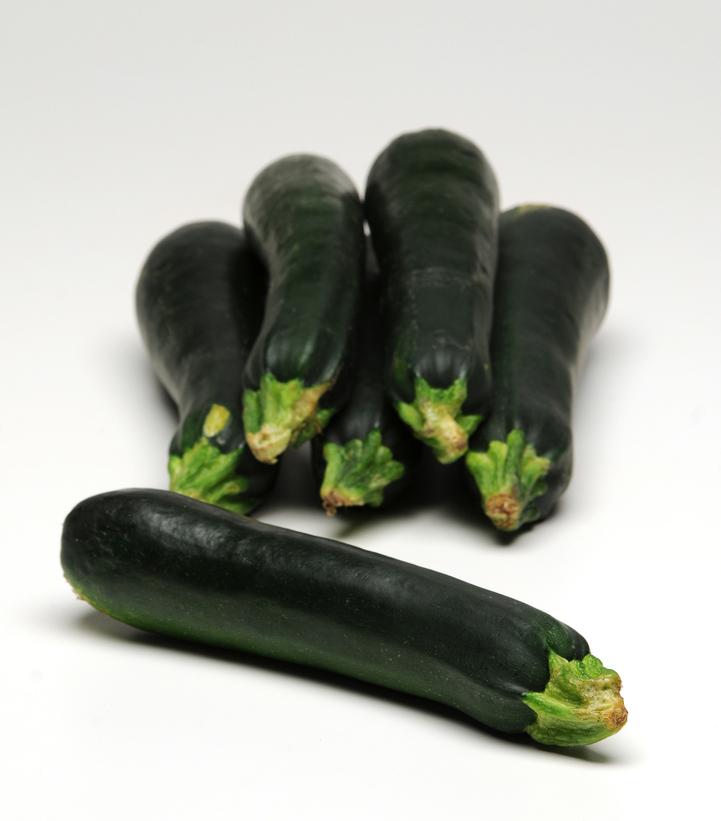 Zucchini Easy Pick Green