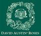 David Austin Roses