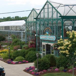 Dickman Farms