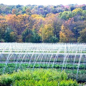 The changing seasons is easy to enjoy, we are surrounded with the scenic New England farm country The changing seasons is easy to enjoy, we are surrounded with the scenic New England farm country